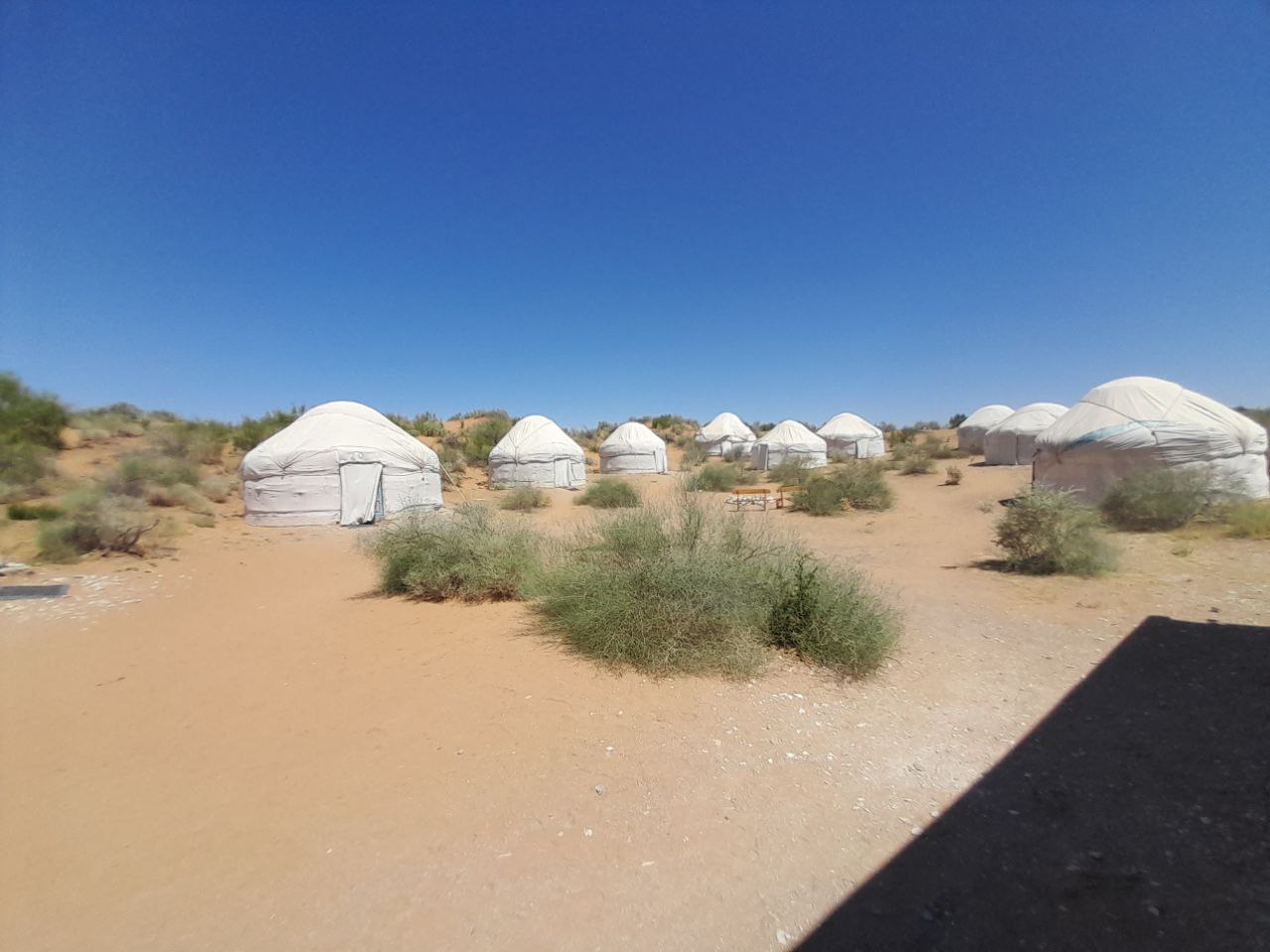 Day 4 Image